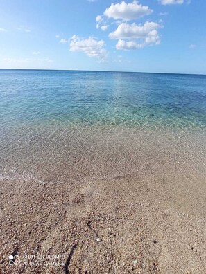 เดินป่า