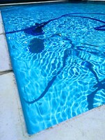Seasonal outdoor pool, open 8 AM to 6 PM, pool loungers