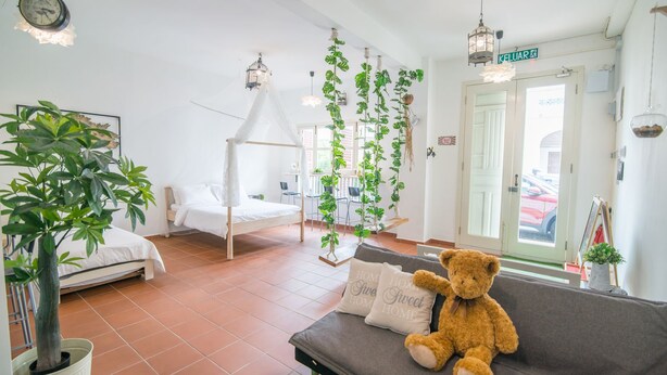 A cozy room with a bed, a bench with a teddy bear, hanging plants, and a view of the street. - Garden Of Eden Houses (George Town)