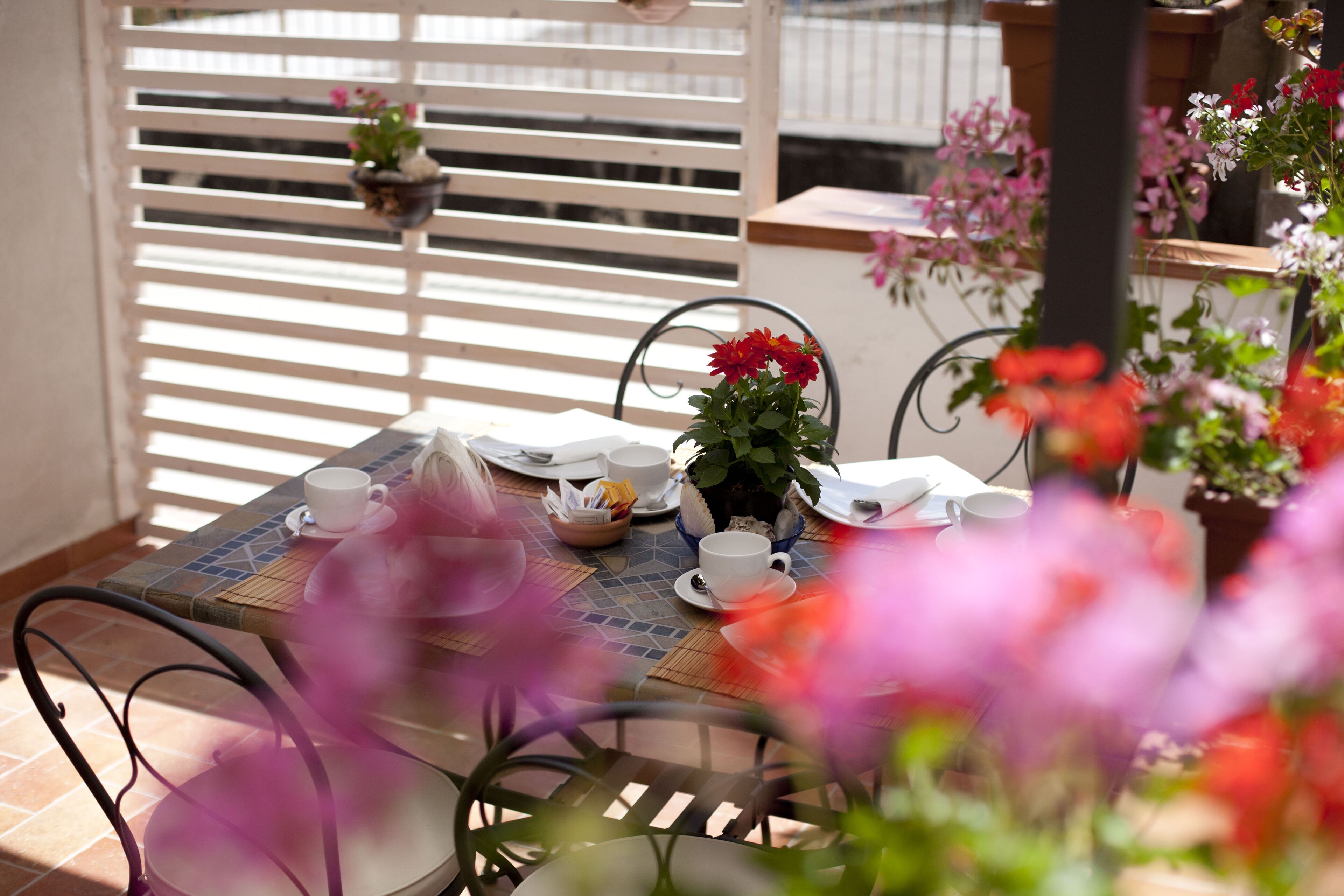 Foto - Donna Rosa Accommodation