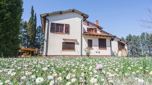 A two-story house with a white facade and brown shutters, surrounded by a field of daisies.