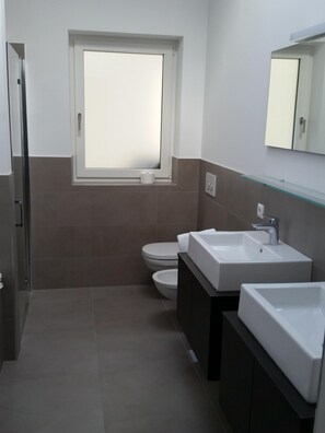 Bathtub, hair dryer, bidet, towels