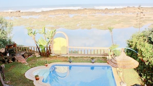 Una piscina con vista al océano, rodeada de plantas en macetas y un quiosco de paja.