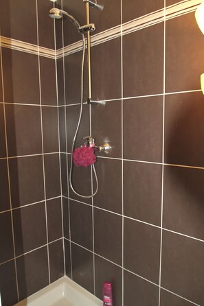 Shower, hair dryer, towels
