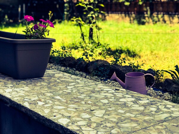 Un sendero en un jardín con una planta en maceta y un regador.