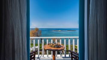 ๋๋ญ์ค ๋๋ธ๋ฃธ, ๋ฐ๋ท๊ฐ | ๋ฐ์ฝ๋