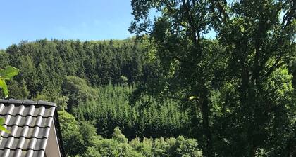 Appartement confortable avec de superbes vues