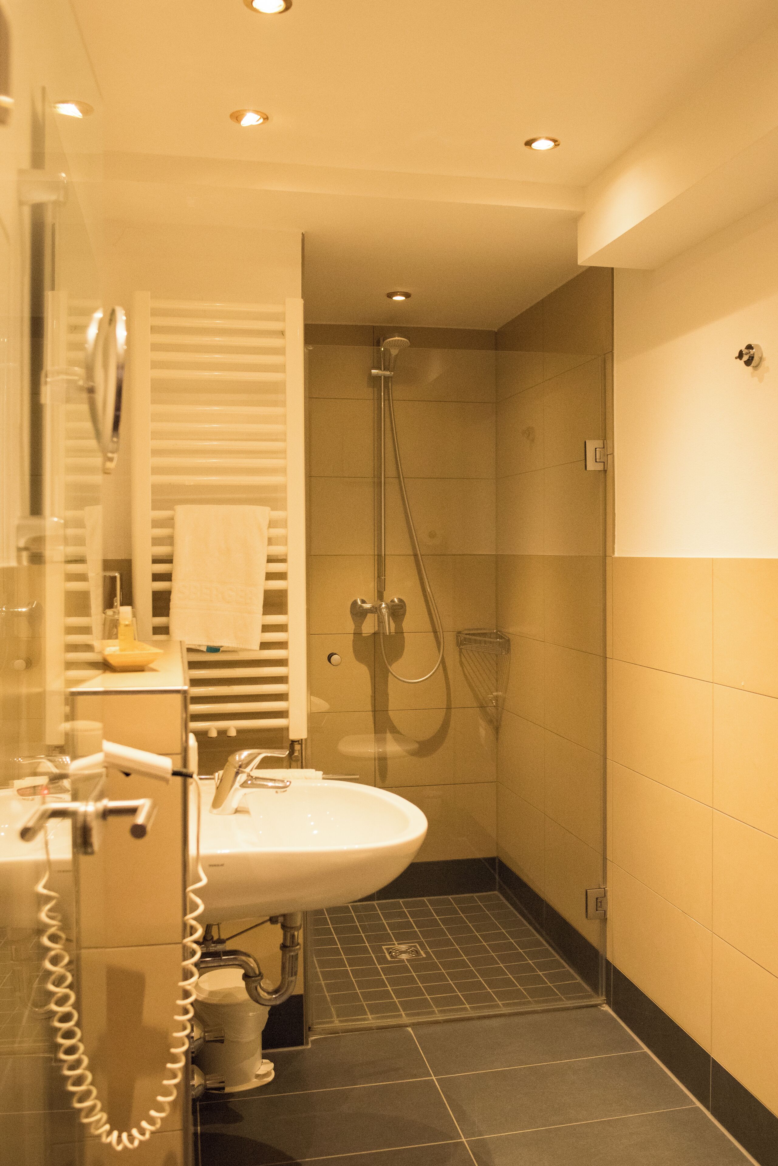 comfort single room | bathroom | shower, free toiletries, hair dryer, towels
