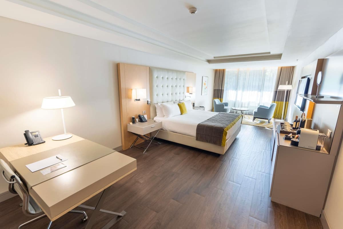 Deluxe Suite, 1 Double Bed, Accessible, Park View