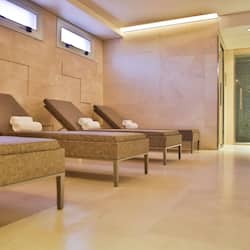 Sauna, hot tub, body treatments, aromatherapy, hot stone massages