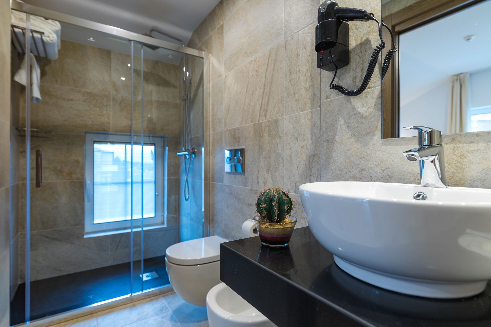 Un baño moderno con cabina de ducha de vidrio, un lavabo blanco y una pequeña planta de cactus en la encimera.