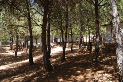 Camping ValdeArenas