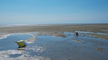 Playa en los alrededores