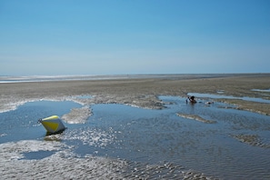 Una playa cerca