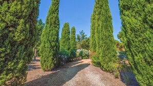 A pathway flanked by tall, slender trees, leading towards a building with a dome-shaped roof. - Cozy home in St Florent (St Florent)