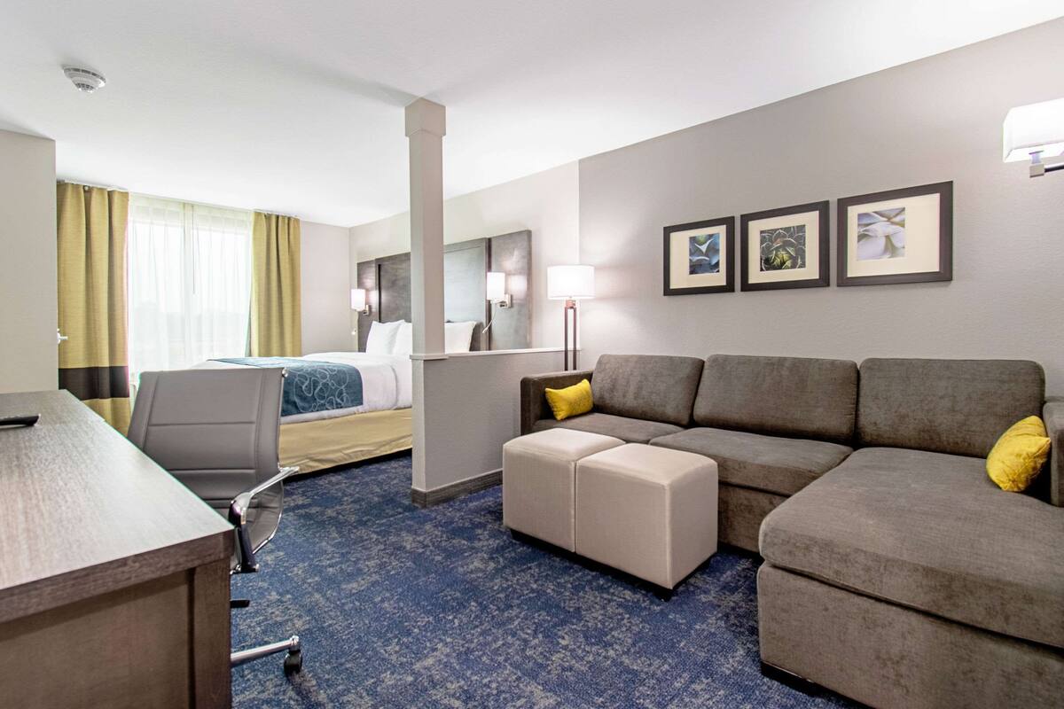 Een hotelkamer met een groot bed, een bank, een bureau en een blauw vloerkleed.