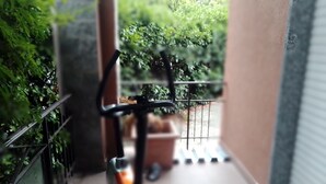 A narrow corridor with a metal railing, a potted plant, and a glimpse of greenery outside. - B&B Milano Malpensa 1 (Castano Primo)