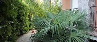 B&B Milano Malpensa 1