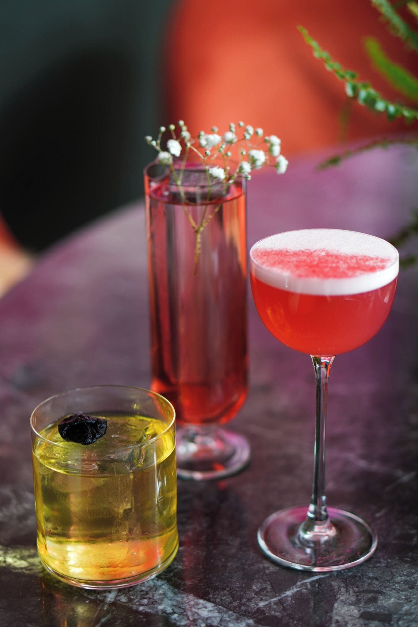 Drei Getränke auf einem Tisch: ein Cocktail mit roter und weißer Schaumkrone, ein klares Getränk mit getrockneter Frucht und ein hohes Glas mit einer Pflanze.