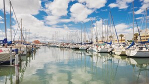 Een jachthaven met tal van zeilboten afgemeerd, kalm water en een heldere lucht.