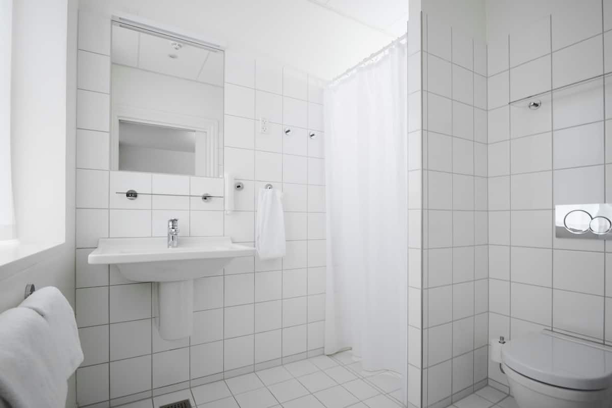 shower, free toiletries, hair dryer, slippers