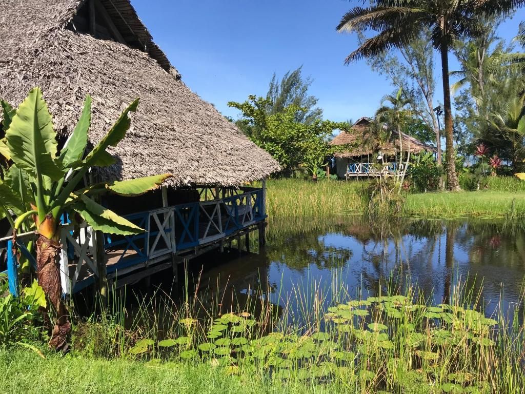 A thatched-roof structure with a blue railing, a water body in the foreground, and palm trees in the background.