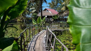 Puutarha