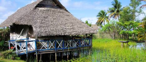 A thatched-roof hut with a blue railing, surrounded by water and greenery.
