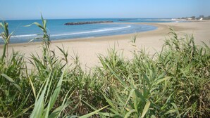 Una playa con cielos despejados, aguas tranquilas y vegetación herbácea en primer plano.