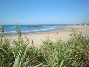 海灘