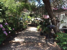 Un sendero en un jardín bordeado por macetas con plantas y flores, que conduce a un área cubierta con asientos.