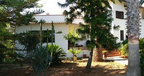 Garden - Villa Isabella (Zambrone)