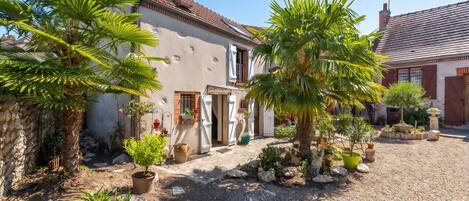 A courtyard with a house, potted plants, and a gravel path.