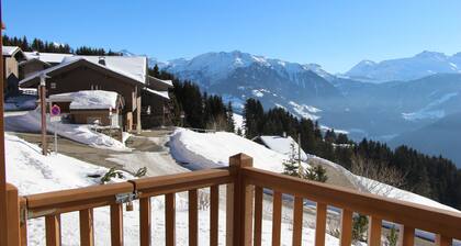 Appt 2 chambres avec piscine, à 300 m des nouvelles télécabines de Bisanne