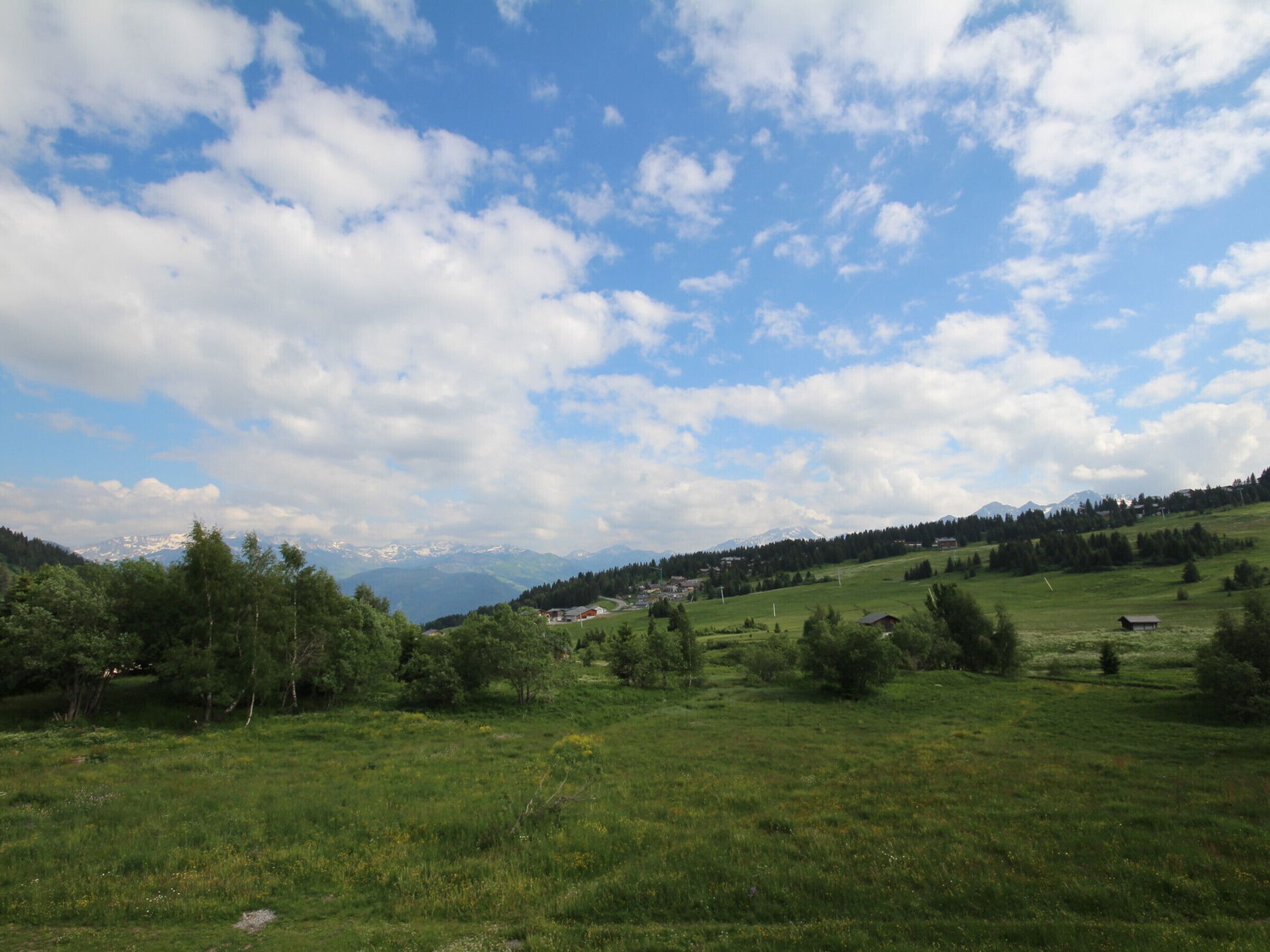 A rural landscape with a clear sky, green fields, and distant mountains.
