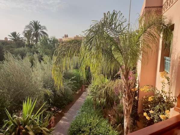 Balcony view