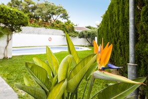 Jardín