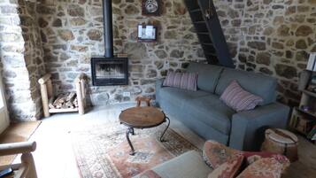 Télévision, cheminée, livres, médiathÚque