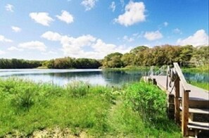Escape to a serene lakeside haven with a tranquil bridge leading to a secluded dock amidst lush greenery.