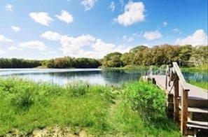 Escape to a serene lakeside haven with a tranquil bridge leading to a secluded dock amidst lush greenery.