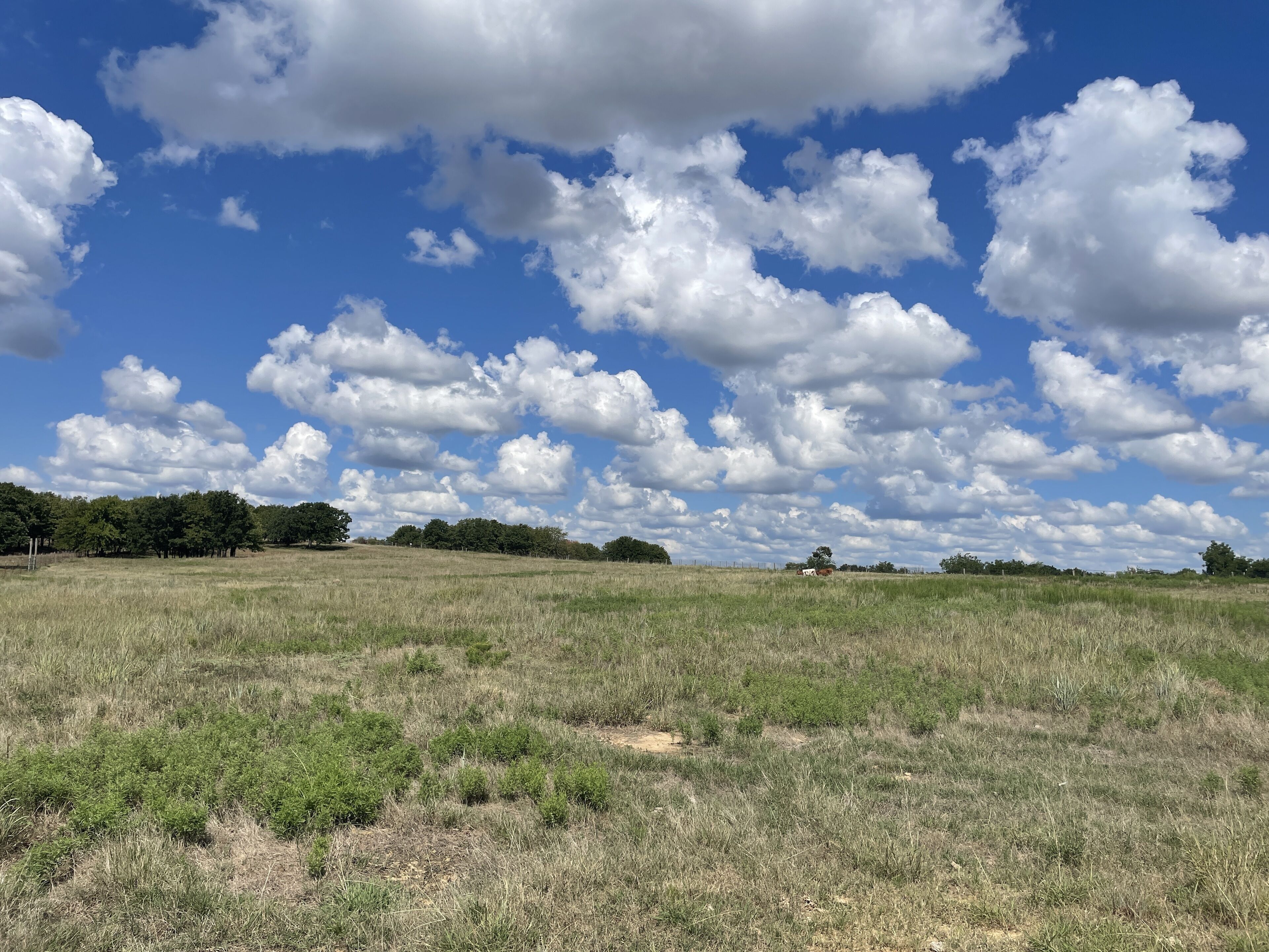 Weite, offene Landschaft mit blauem Himmel und vereinzelten Wolken.