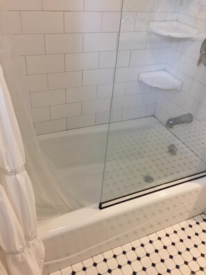 Combined shower/tub, hair dryer, toilet paper