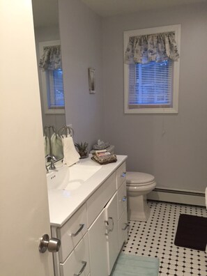 Combined shower/bathtub, hair dryer, toilet paper