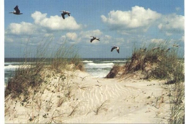 On the beach