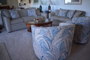 TV, DVD player, books, video library