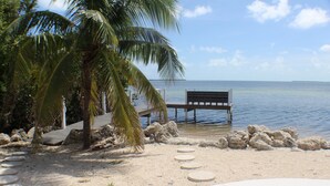 Une plage avec un banc en bois, des palmiers et une vue dégagée sur l’eau.
