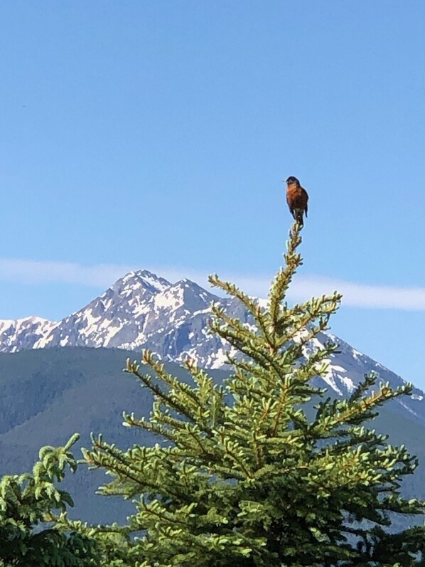 Romantic Retreat for Two Make A Montana Memory! Pray Vrbo