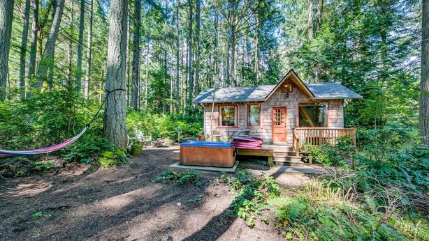 A cabin with a hot tub, surrounded by a forest. - Pet Friendly - Peaceful Cabin in the Wood - Hot Tub (Bainbridge Island)