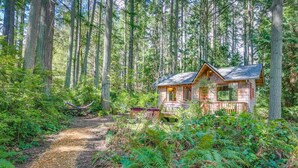 A rustic cabin surrounded by dense forest, a hammock, and a dirt path. - Pet Friendly - Peaceful Cabin in the Wood - Hot Tub (Bainbridge Island)