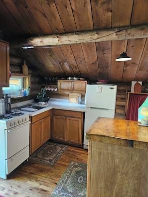 Fridge, oven, stovetop, coffee/tea maker